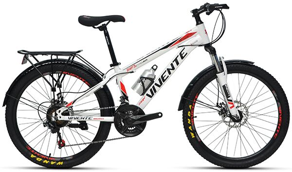 Xe đạp điện địa hình VIVENTE 24F3 2022